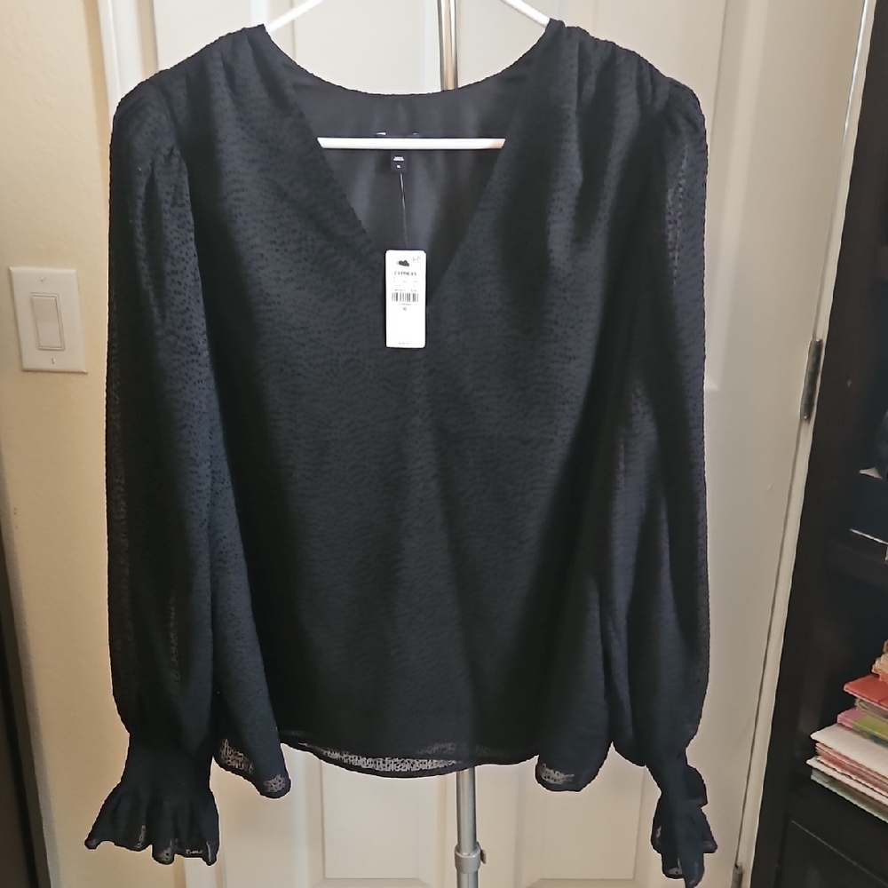 Express V Neck Blouse